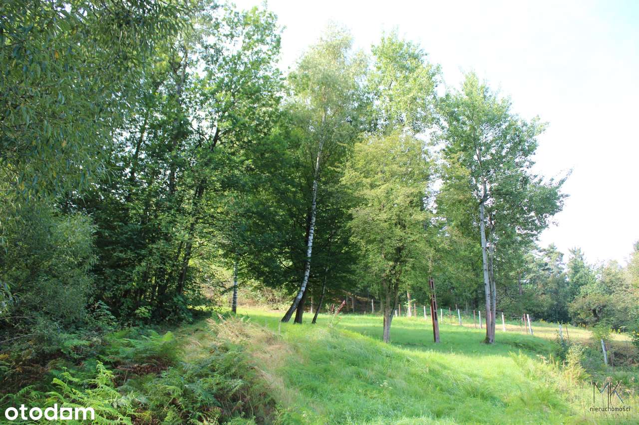 Siepraw - działka budowlano-rolna w otoczeniu zieleni. - Pełny obrazek: 4/6
