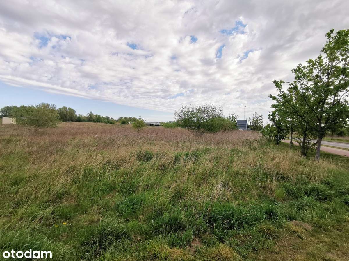 Działka Usługowa Stacja Paliw, Handel, Gastronomia - Pełny obrazek: 4/4