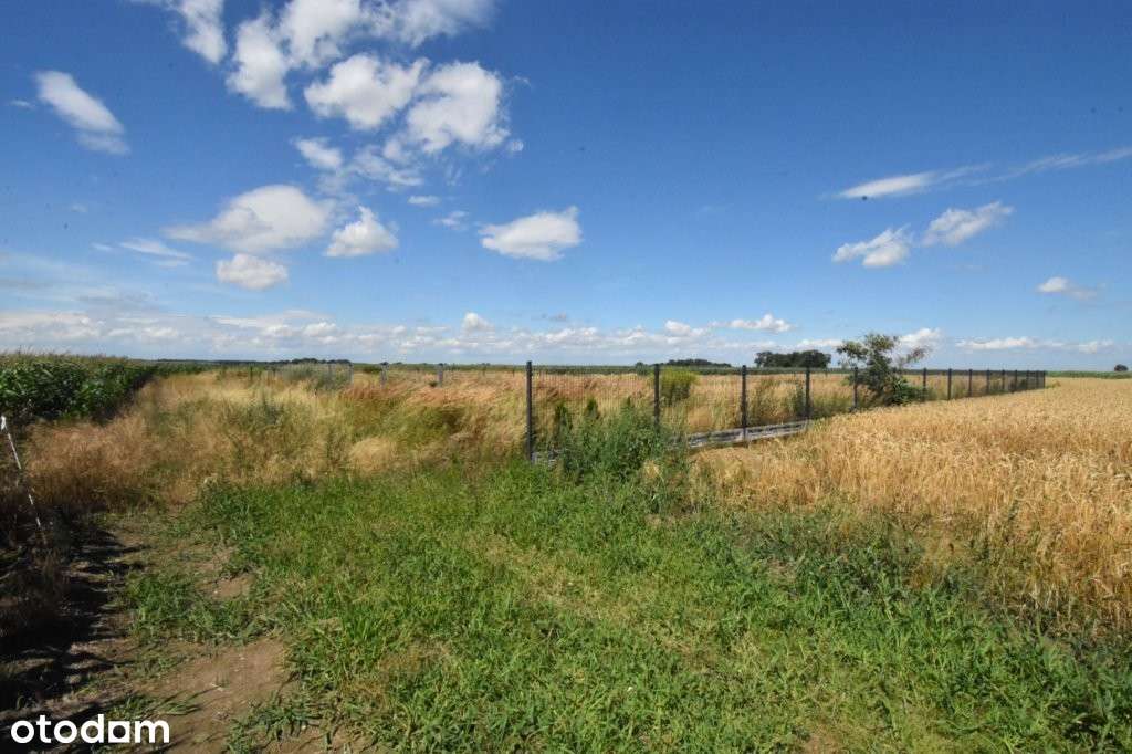 Działka  budowlana - Czarnolas - Pełny obrazek: 5/8