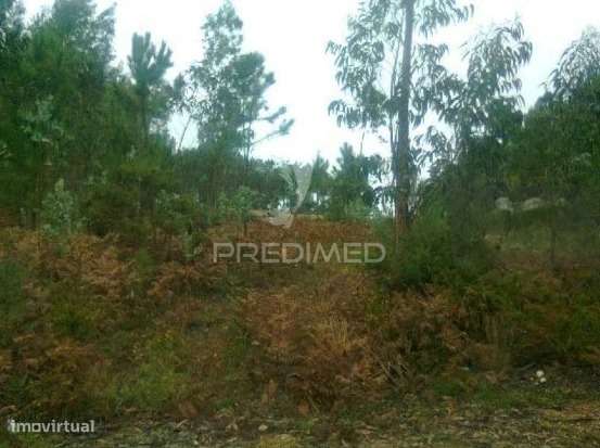Três Lotes para construção habitacional - Grande imagem: 3/3