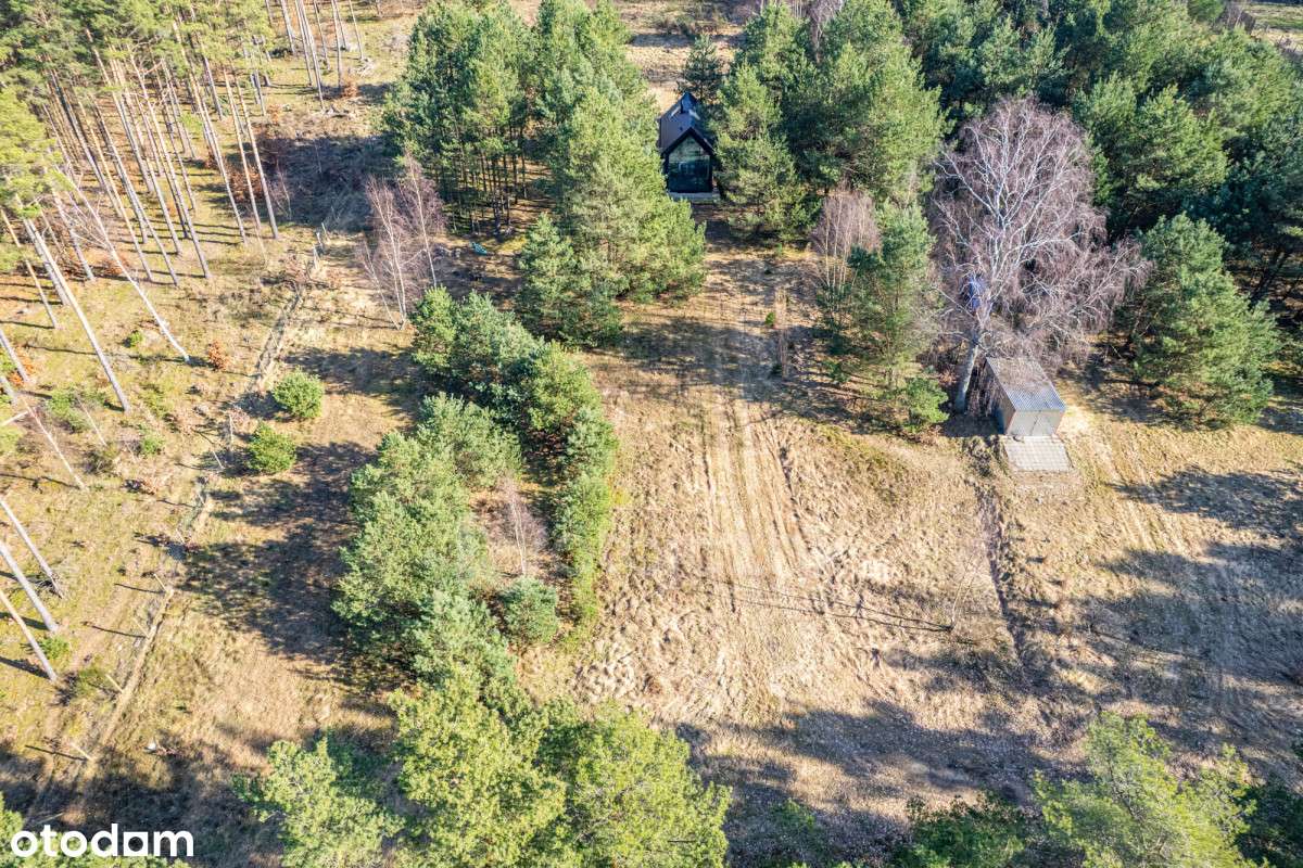 Domek Całoroczny | Sasino | Duża Działka Pod Lasem - Pełny obrazek: 5/20