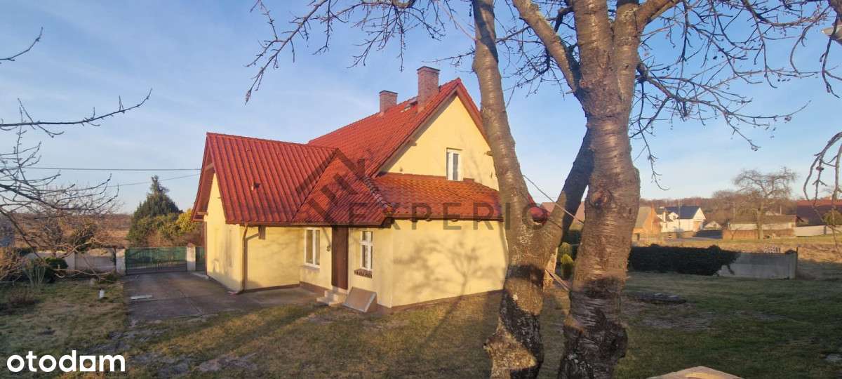 Dom Dolina Baryczy/ nowy dach/duża działka/ Milicz - Pełny obrazek: 5/20