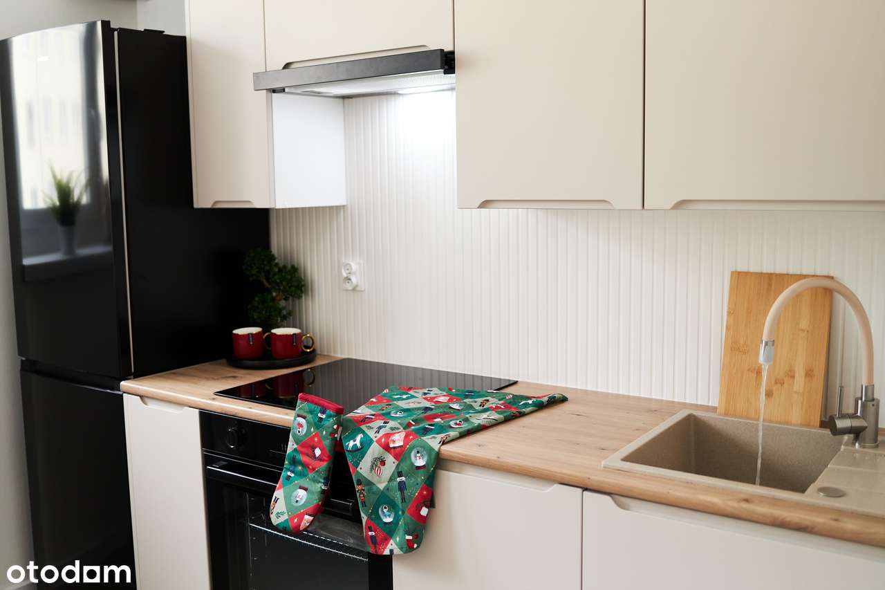 3 pokojowy Apartament 100 m od Parku po generalnym remoncie 2 piętro-15