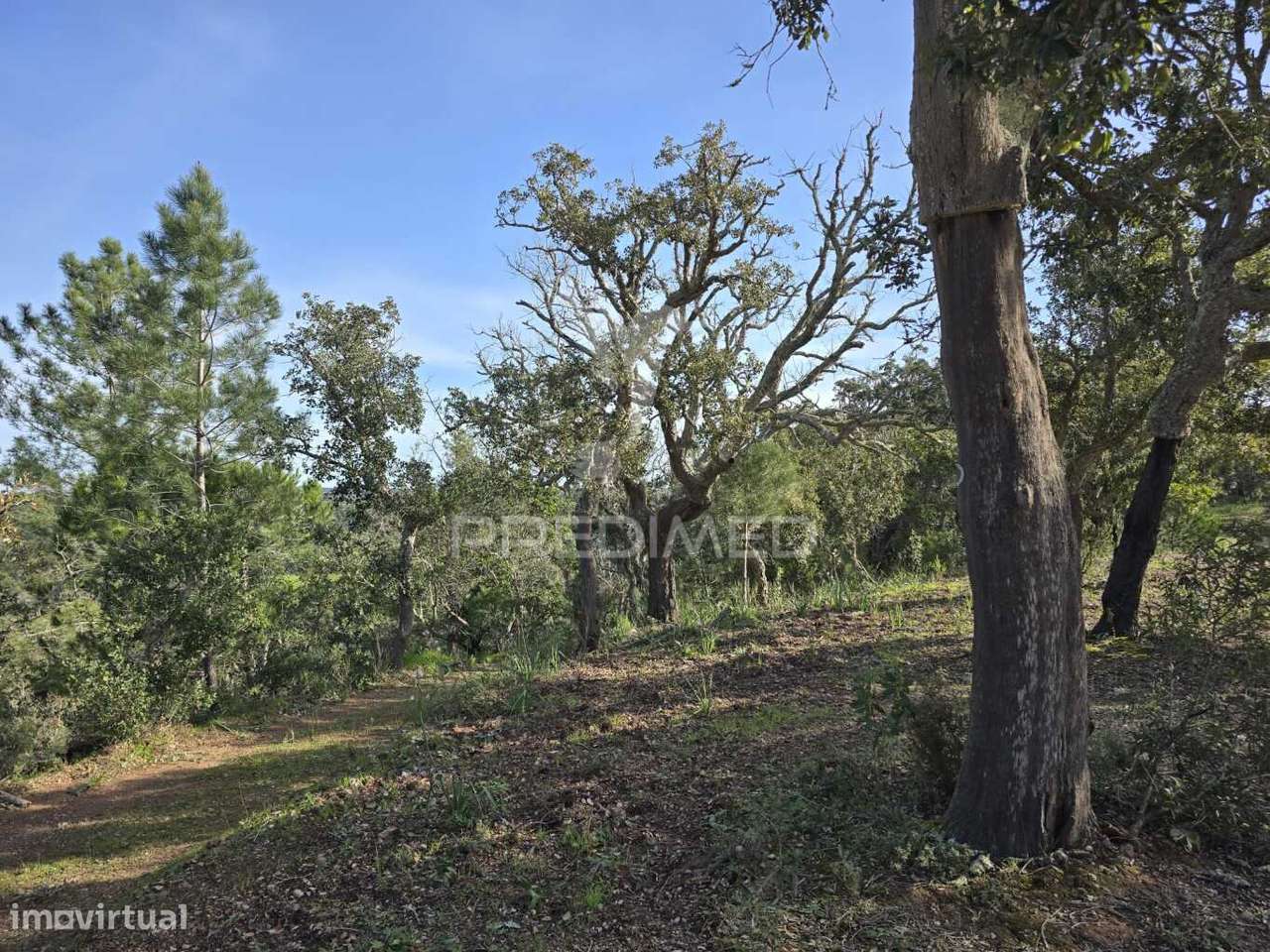 Terreno Rústico - Zona de Vale Figueira - Grande imagem: 5/27