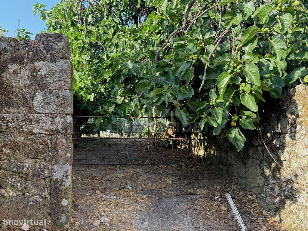 Moradia independente com 500 m2 de construção e terreno com 10.000 m2-30