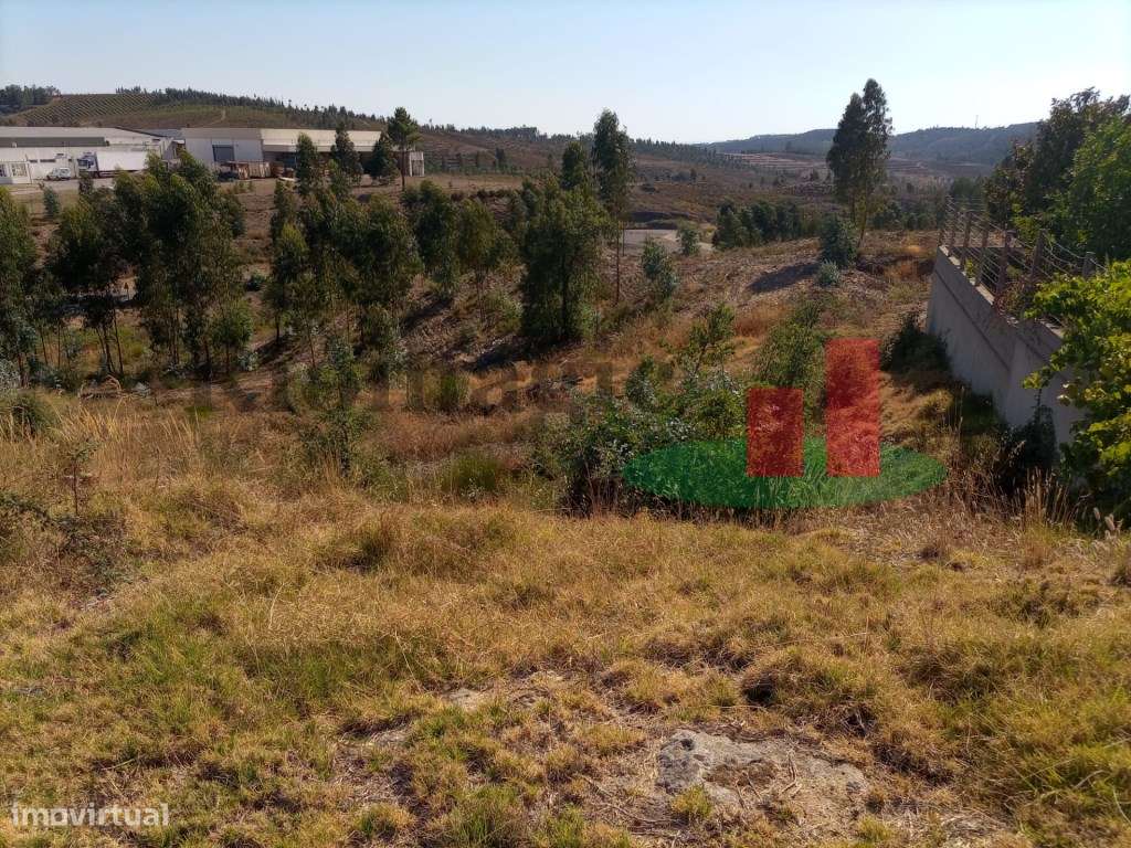 Lote para Construção de Moradia Isolada - Mação***RIOMAGIC*** - Grande imagem: 2/6