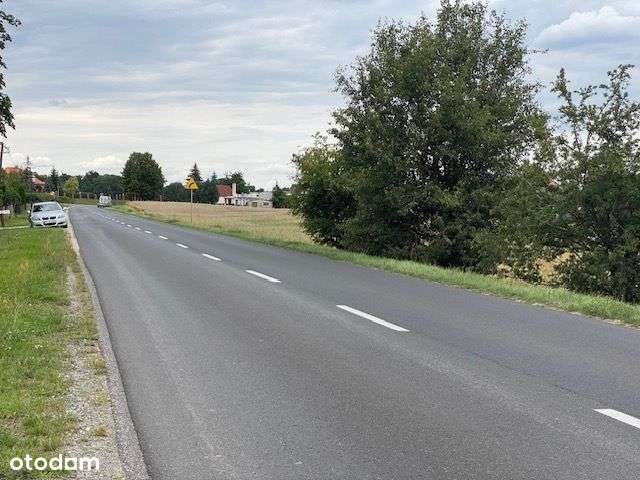 Długa Goślina, działka 4009 m2.-6