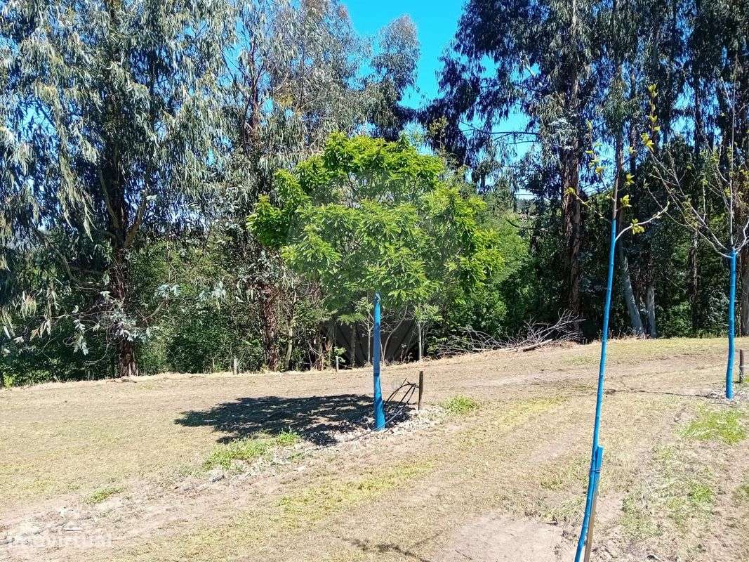 Terreno  para venda - Grande imagem: 4/21