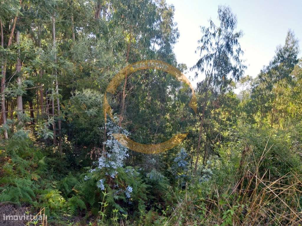 Terreno urbano Oliveira de Azeméis - Grande imagem: 4/5