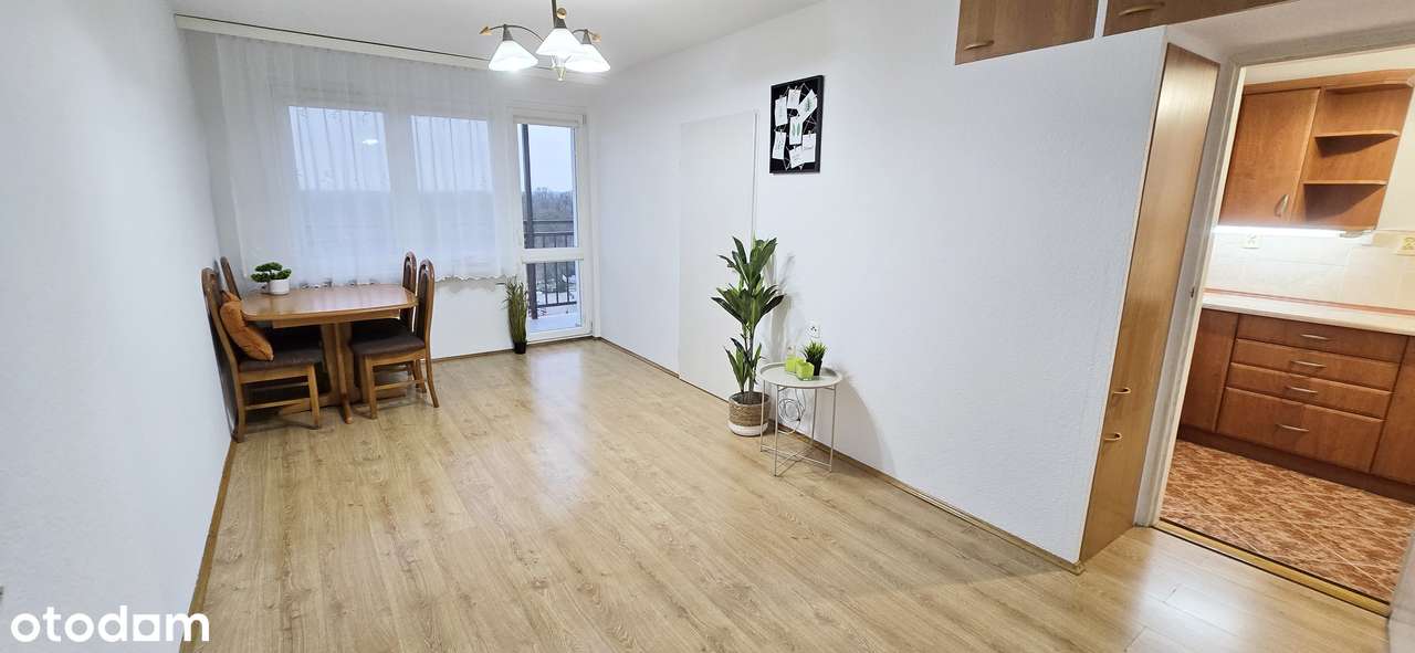 2 pokoje 35,4m2 centrum piękny balkon top lokalizacja blisko Starówka - Pełny obrazek: 1/17