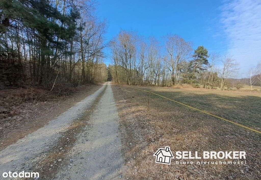 Działka z linią brzegową ponad 2 ha / mpzp - Pełny obrazek: 4/8