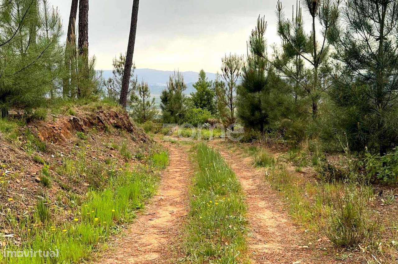 QUINTA no ALCAIDE – FUNDÃO-40