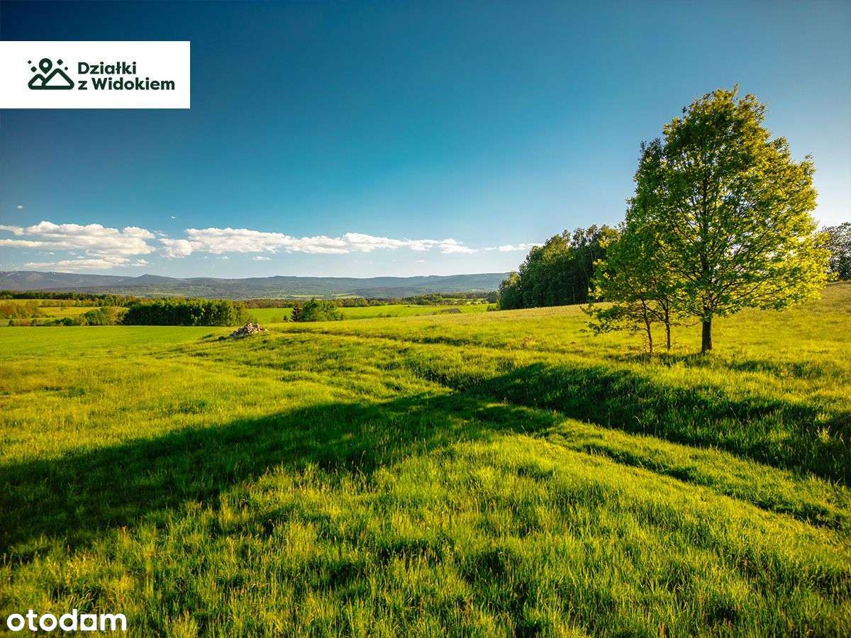 Pasiecznik - działka budowlana 10 min od Jeleniej Góry! - Pełny obrazek: 5/6