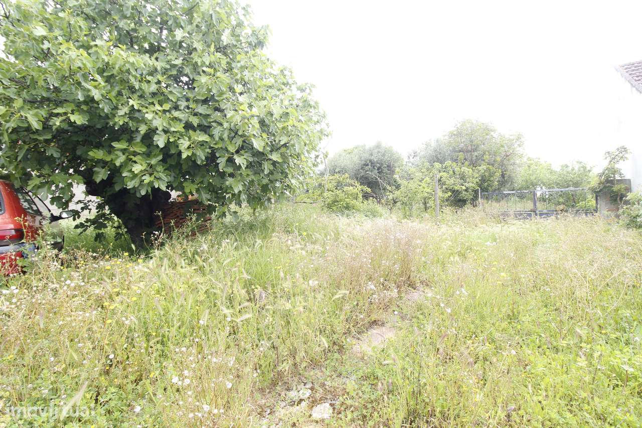 Moradia, 74 m², Brogueira, Parceiros de Igreja e Alcorochel-13