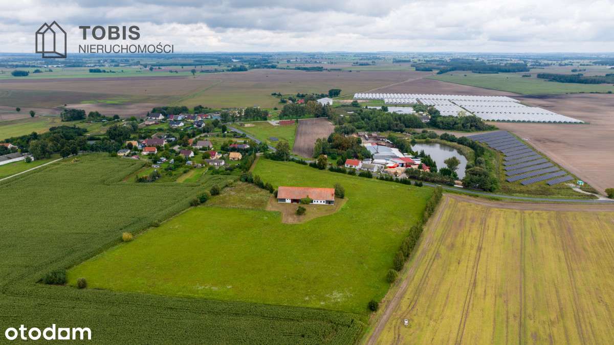 Stadnina z ogromnym potencjałem!-7