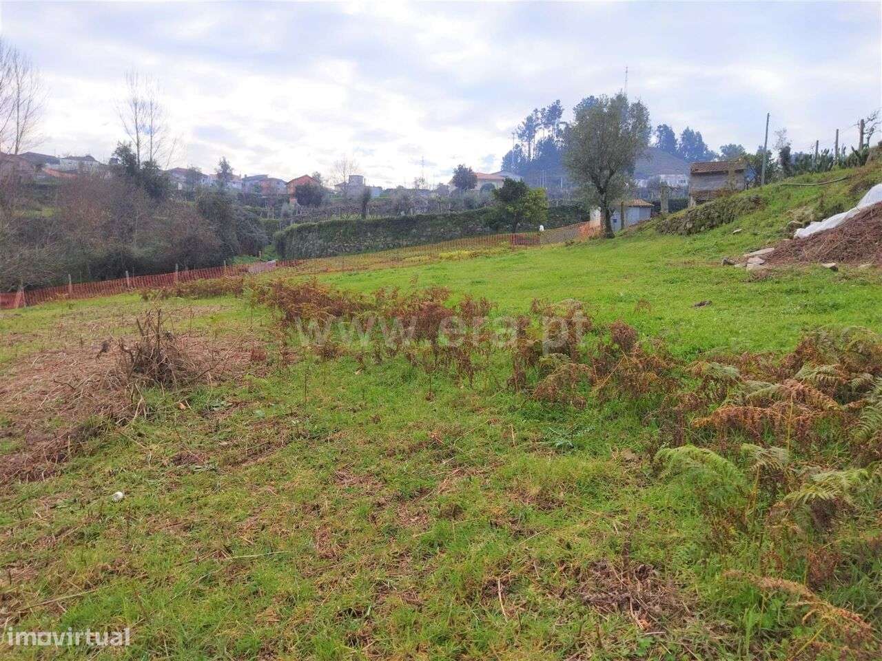 Terreno / Cinfães, Espadanedo - Grande imagem: 4/6