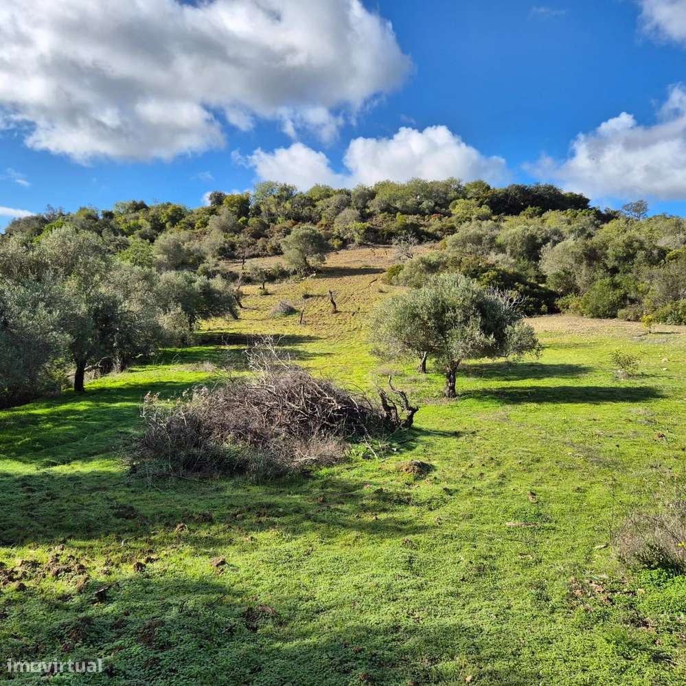 Terreno Rústico na Amendoeira - Estoi - Grande imagem: 4/10