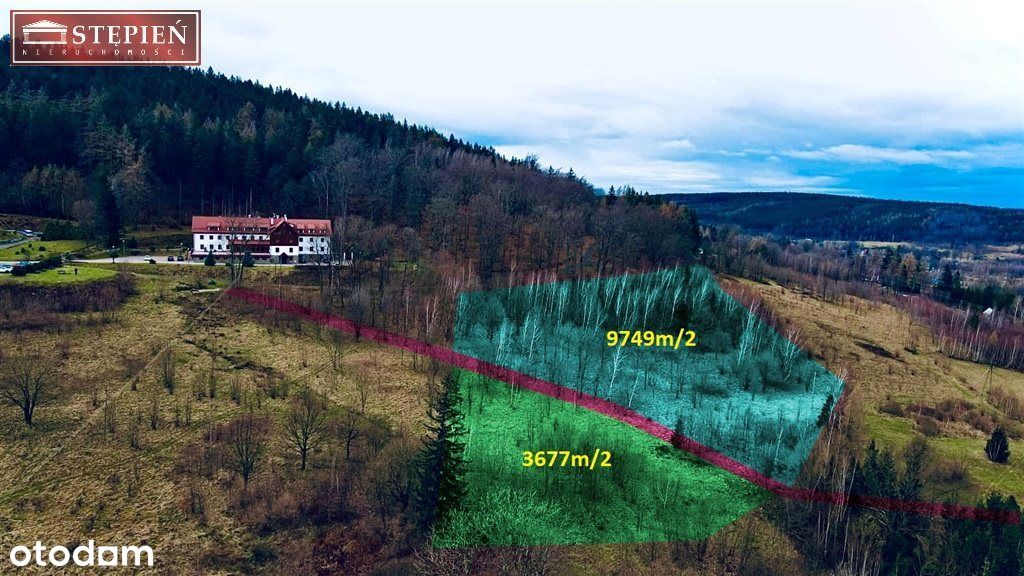 Działka, 9 749 m², Świeradów-Zdrój