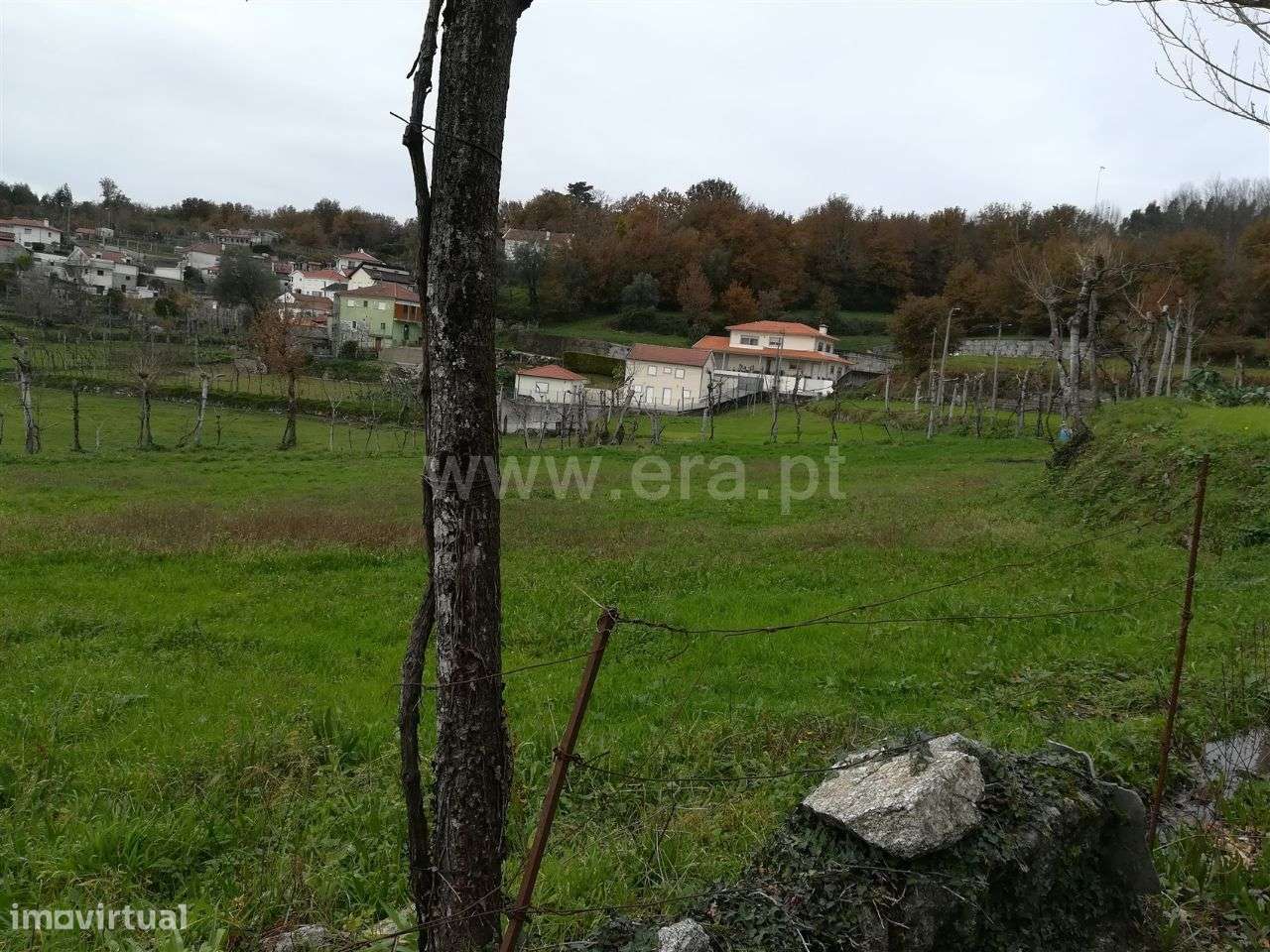 Terreno em Ribeiros - Grande imagem: 4/14