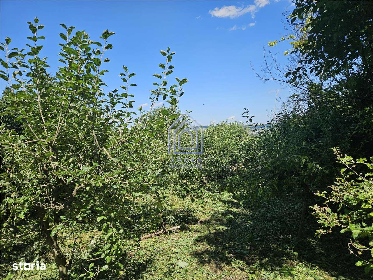 Teren , strada M. Sadoveanu, 7 ari. - Imagine principală: 5/6