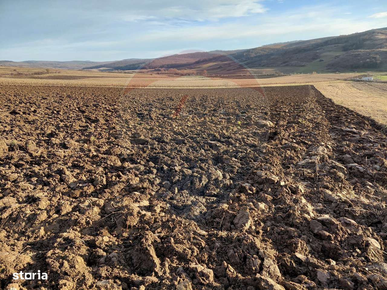 Teren 7,200mp Secuieni / DN Principala - Imagine principală: 4/4