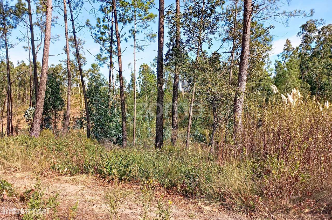 Terreno Industrial Barosa - Grande imagem: 2/20