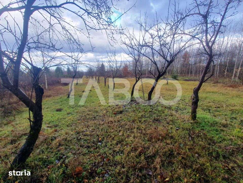 Teren extravilan 1000 mp Statiunea Climaterica Sambata de Sus - Imagine principală: 2/3