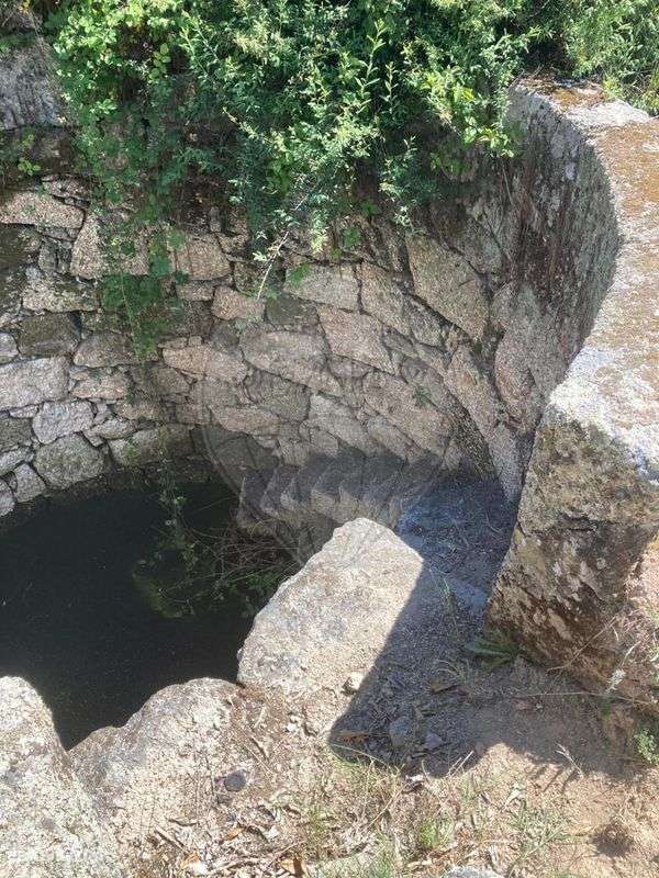 Quinta  para venda - Grande imagem: 4/15