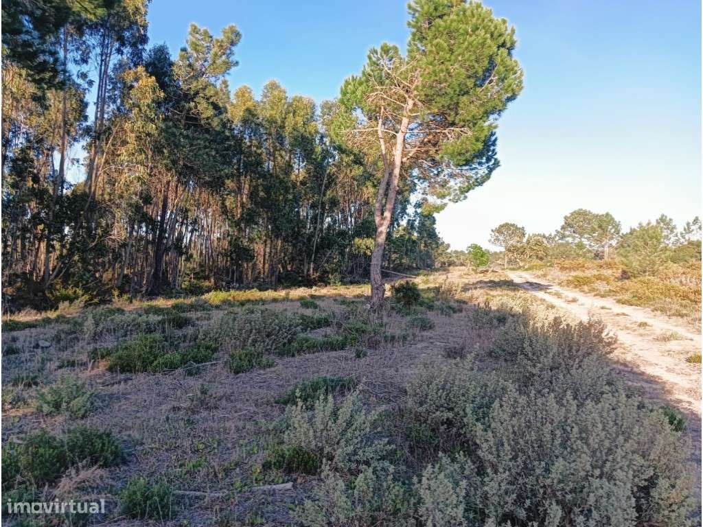 Terreno Rústico Aiana de Cima - Grande imagem: 3/25