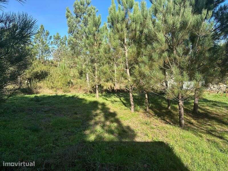 Terreno para construcao - Grande imagem: 5/8