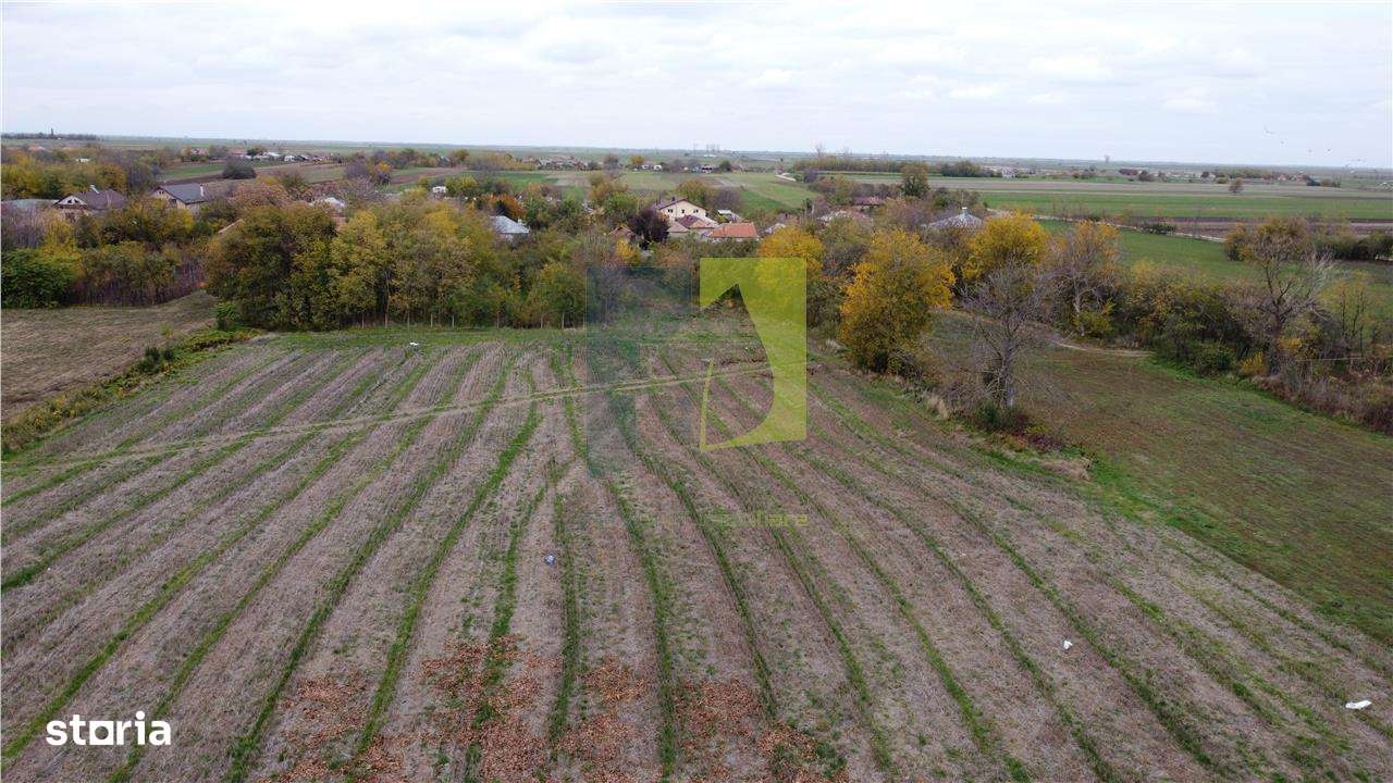 Casa de vanzare - Celaru, Dolj-10