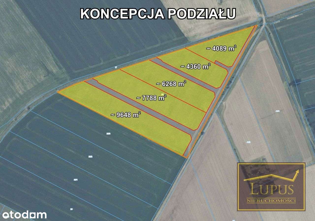 Działka rolna w Lubowie - Pełny obrazek: 3/11