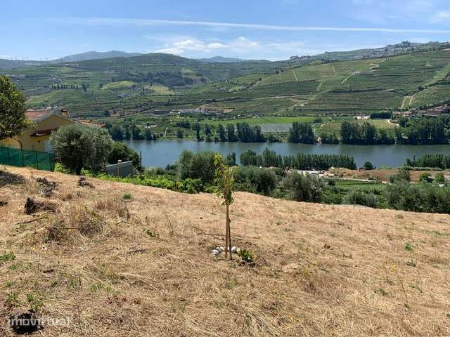 Terreno no Douro/Regua com Projecto aprovado para Moradia-7
