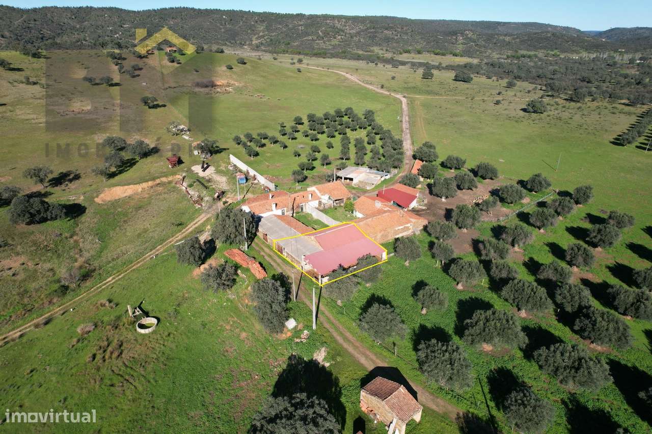 Terreno Rústico  Venda em Escalos de Baixo e Mata,Castelo Branco - Grande imagem: 5/52