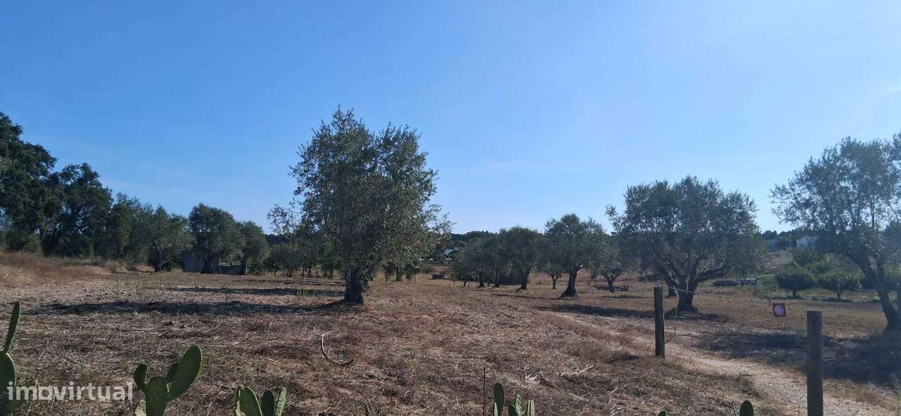 Propriedade 4 hct na zona  Coruche / Almeirim - Grande imagem: 4/6