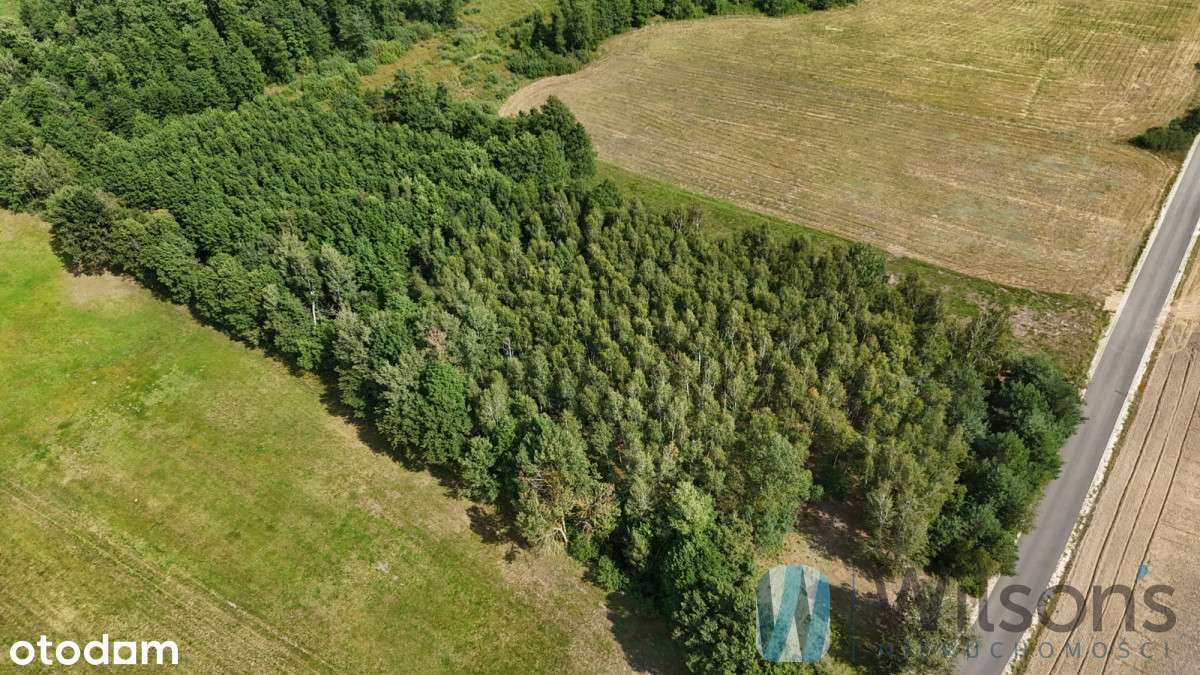 Zamieszkaj lub Inwestuj! Działka 7100 m² - Pełny obrazek: 4/14