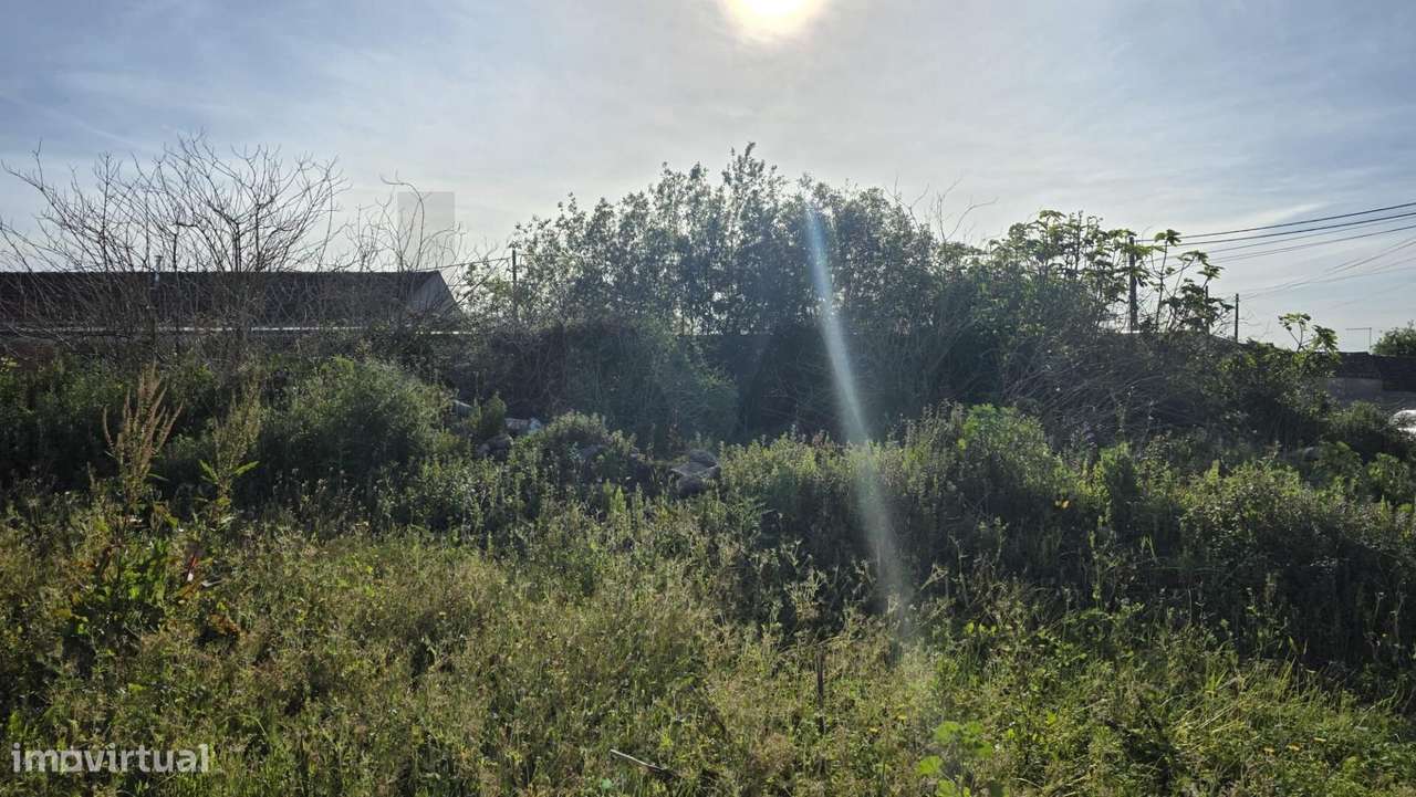 Aqui começa o que ainda não existe - Grande imagem: 4/6