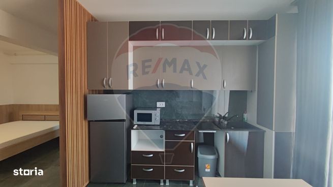 Apartament tip studio de vanzare Ultracentral Promenada Crisului-2