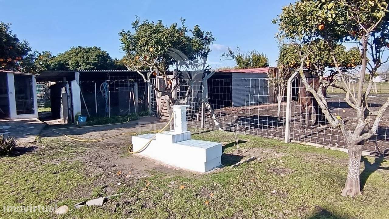 Moradia T3 + 2 com ampla área externa-13