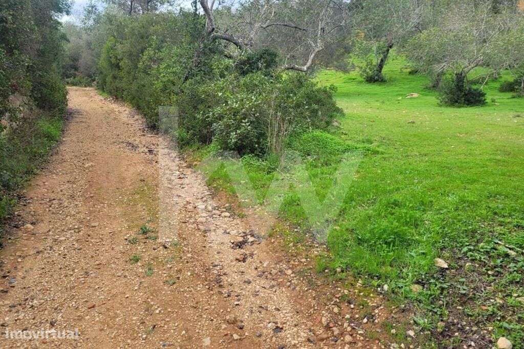 TERRENO RÚSTICO COM 5240M2 NO MALHÃO-PADERNE-ALBUFEIRA - Grande imagem: 5/10