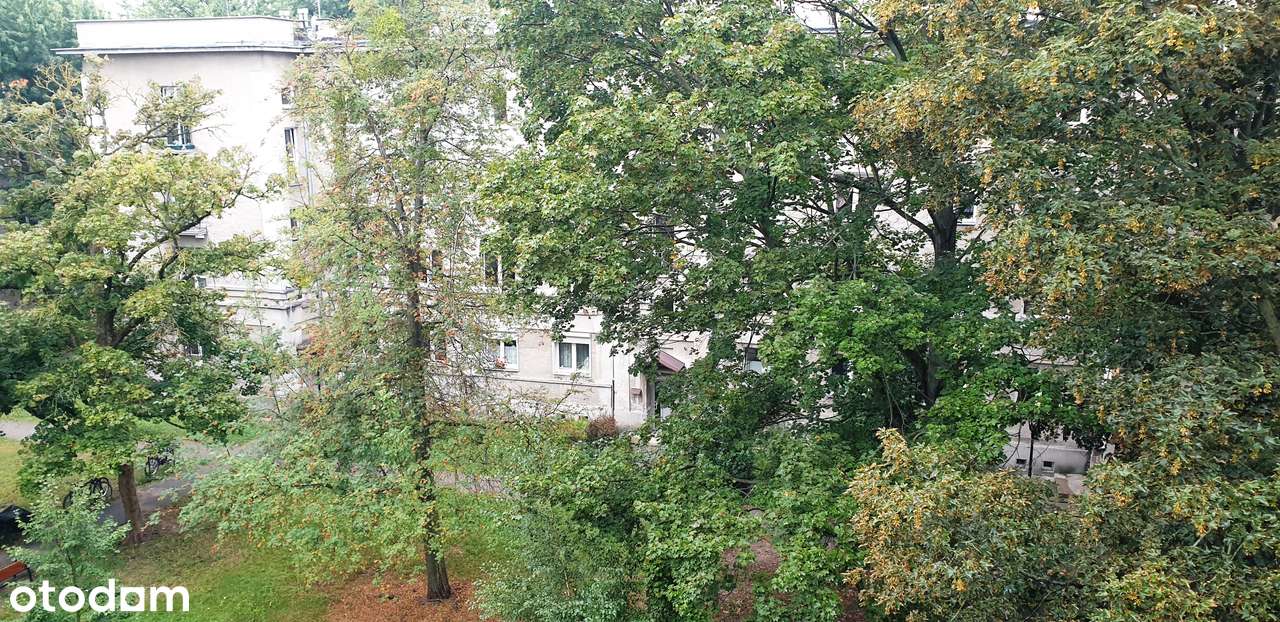 STARE BIELANY!.Kameralny budynek otoczony zielenią,ciche. Piwnica 6,75-15