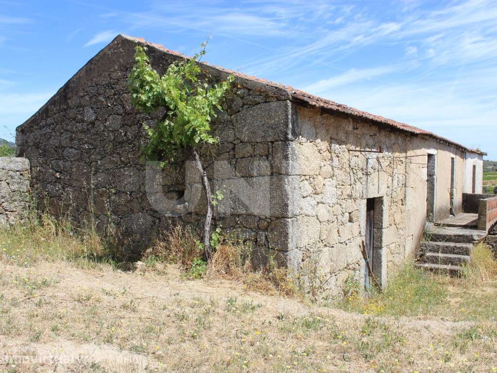 Quinta com 2,5 hectares - Grande imagem: 2/48