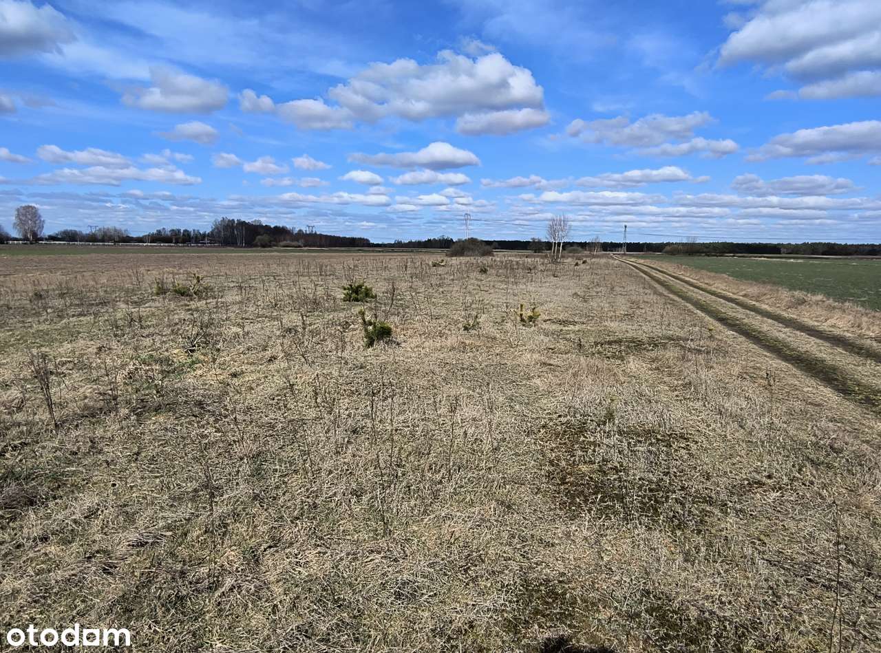 Atrakcyjna działka - Pełny obrazek: 4/7