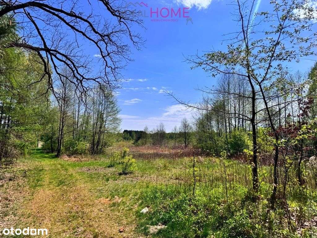 Dom na sprzedaż - Majdan Królewski 2,12ha działki-10