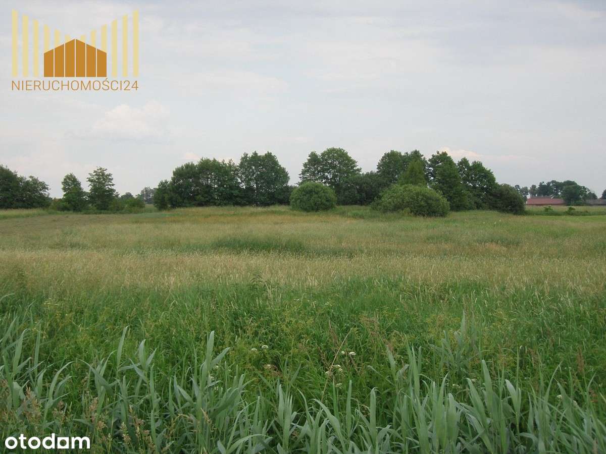 373097 - Pełny obrazek: 3/6