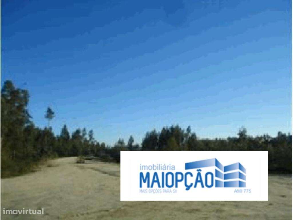 Lote de terreno - Grande imagem: 4/7