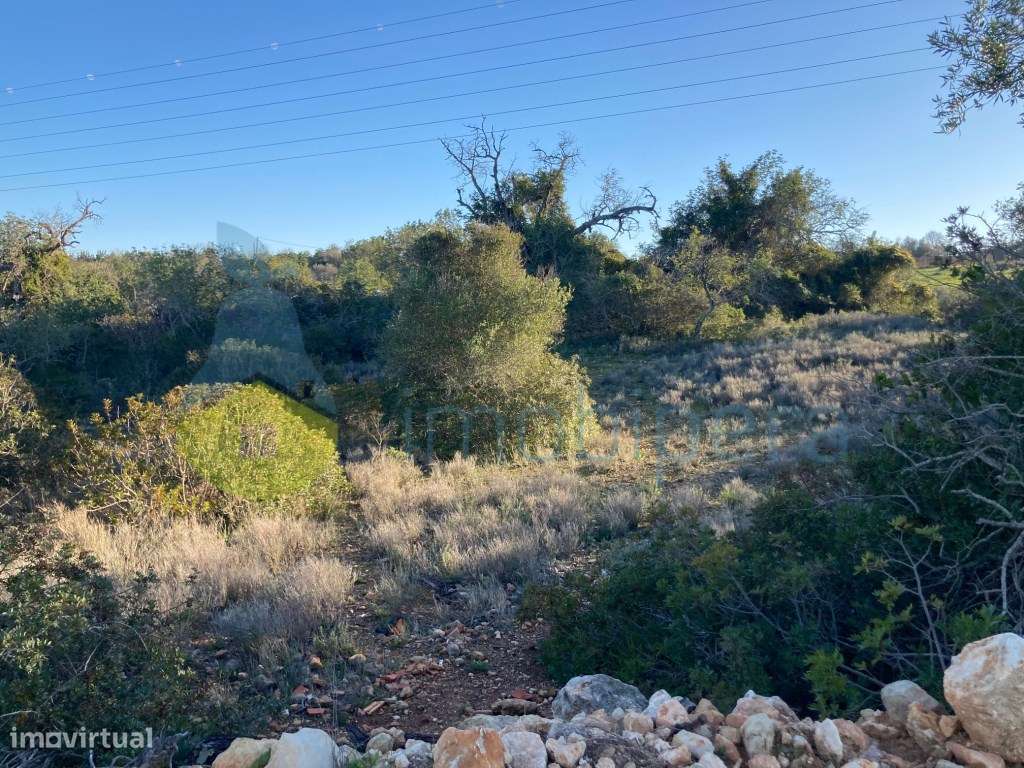 TERRENO RÚSTICO DE 3.200(m2) TOTALMENTE MURADO EM ZONA TRANQUILA-A ... - Grande imagem: 3/10