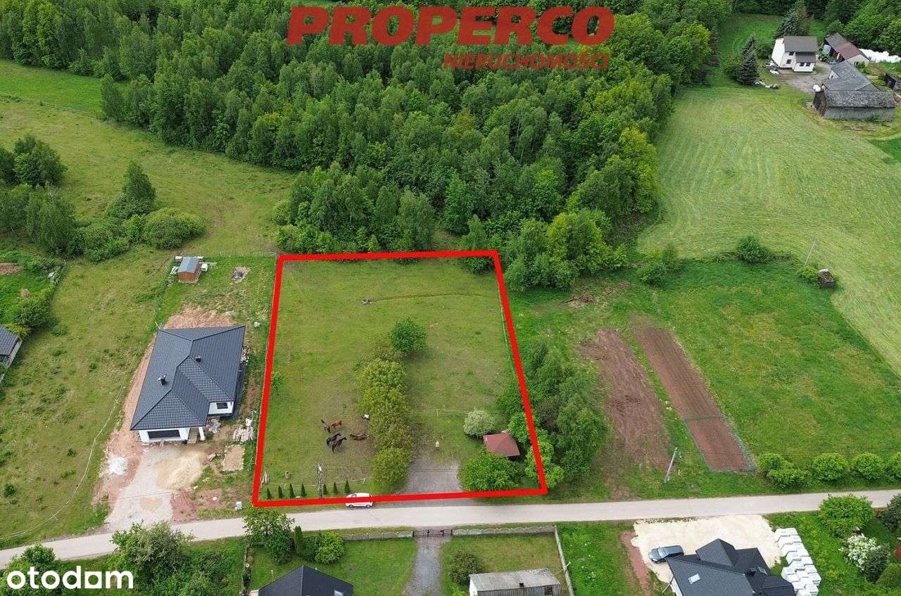 Działka 3029m2 Mniów, 45x67(m), las obok - Pełny obrazek: 3/8