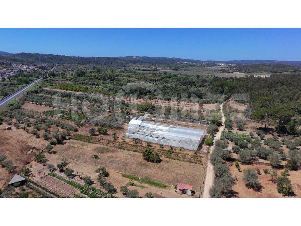 Terreno Agrícola com Estufas Preparadas para Produção em Hidroponia...-25