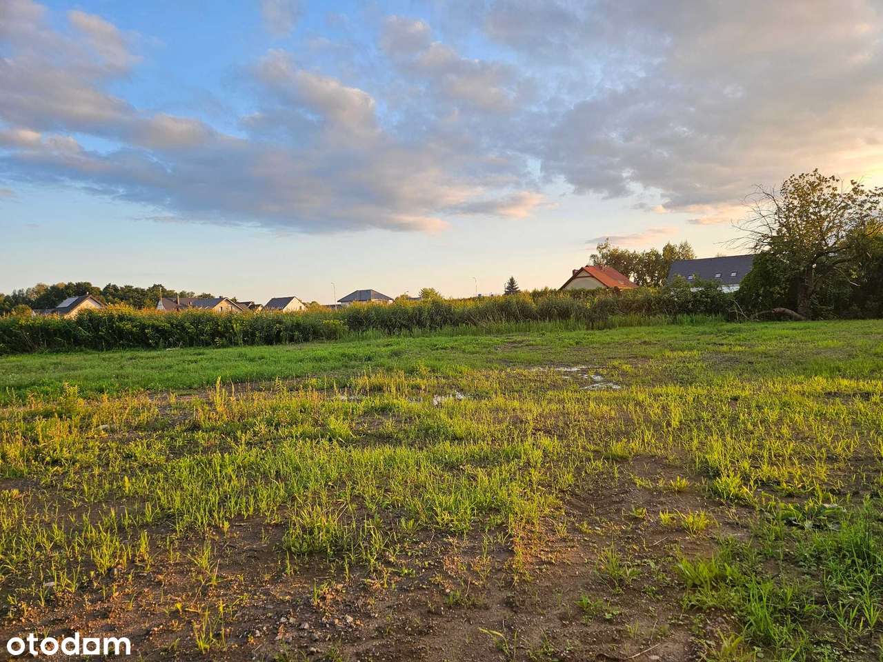 Jedyna taka w Długołęce. Piękne miejsce. Budowlana. Dla wymagającego. - Pełny obrazek: 5/12